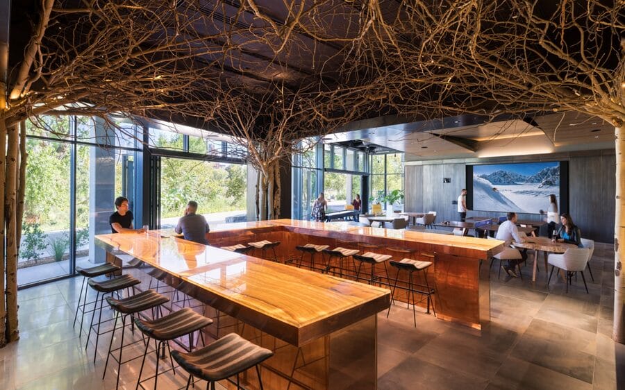 A common area in a business with Direct View LED video walls in the background with a large u-shaped table at the center and tree branch decor above it all.