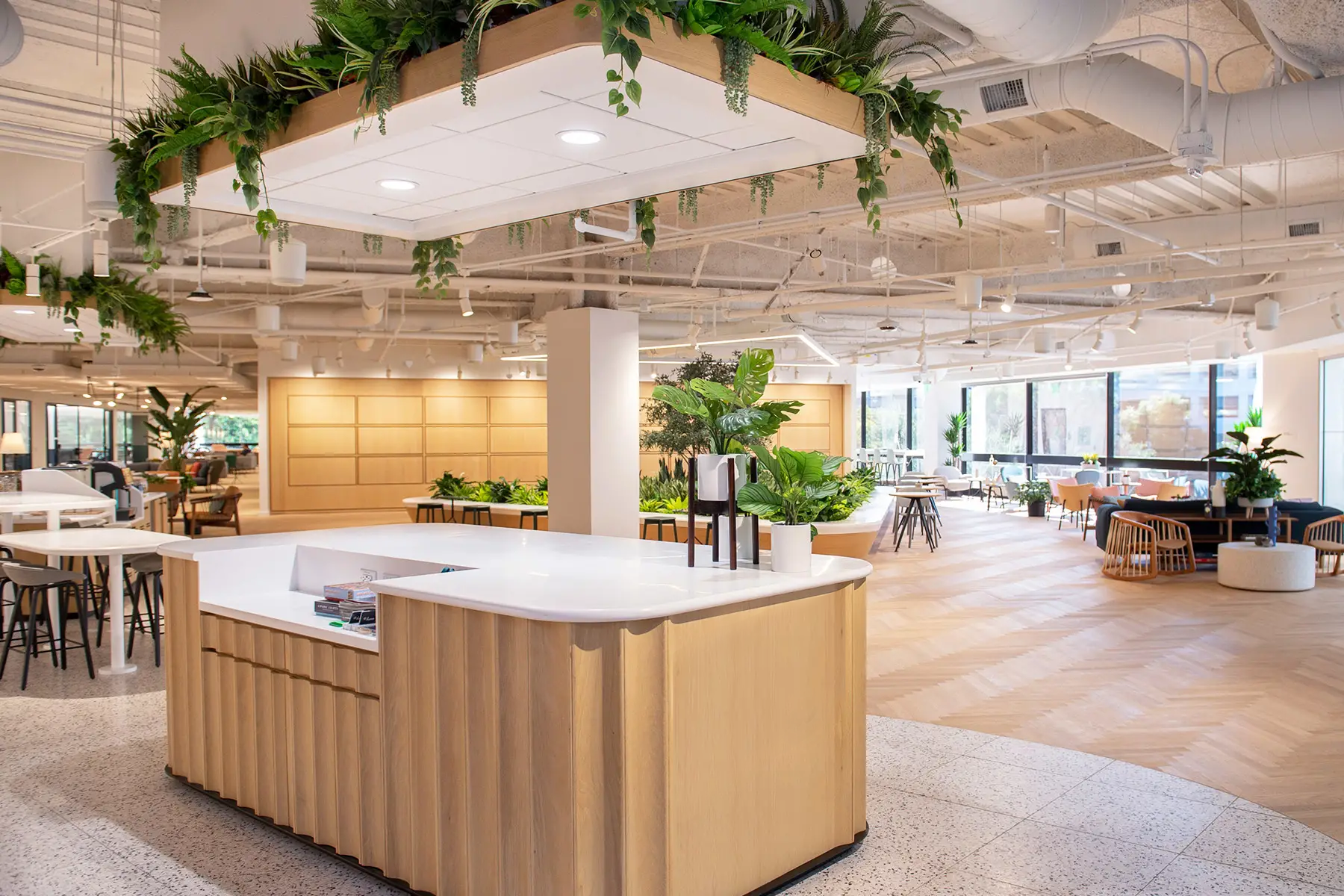 Modern multifamily amenity lounge with open seating, a kitchen island and hanging planters
